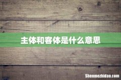 主体和客体是什么意思