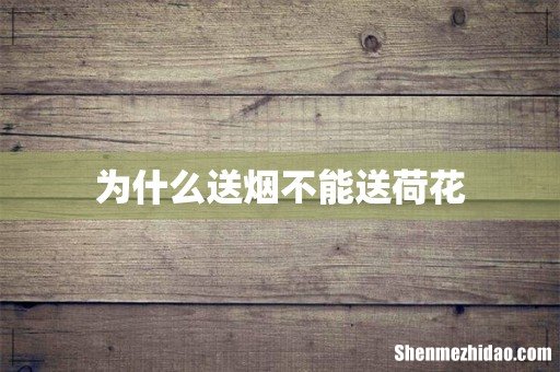 为什么送烟不能送荷花