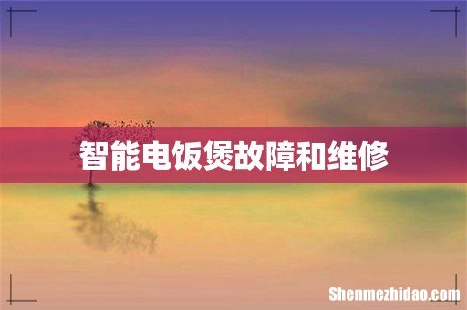 智能电饭煲故障和维修