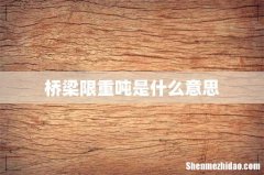 桥梁限重吨是什么意思