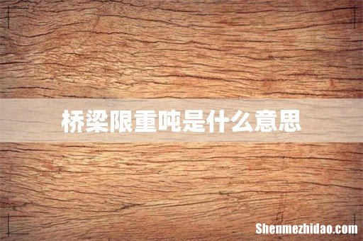 桥梁限重吨是什么意思