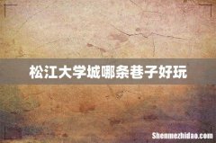 松江大学城哪条巷子好玩