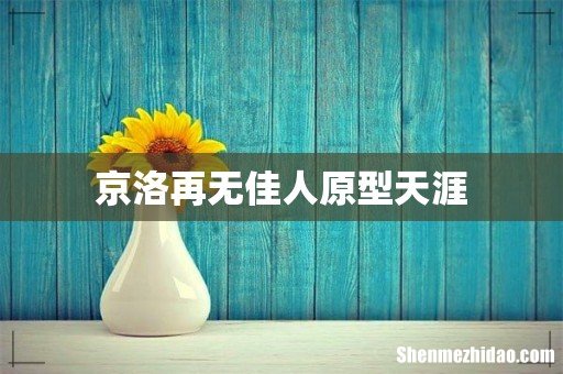 京洛再无佳人原型天涯