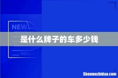 是什么牌子的车多少钱