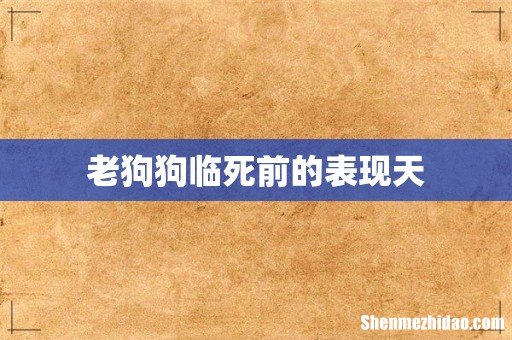 老狗狗临死前的表现天