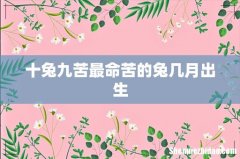十兔九苦最命苦的兔几月出生