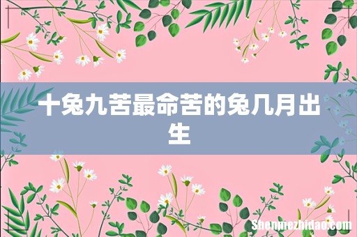 十兔九苦最命苦的兔几月出生