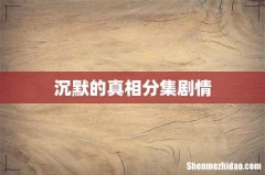 沉默的真相分集剧情