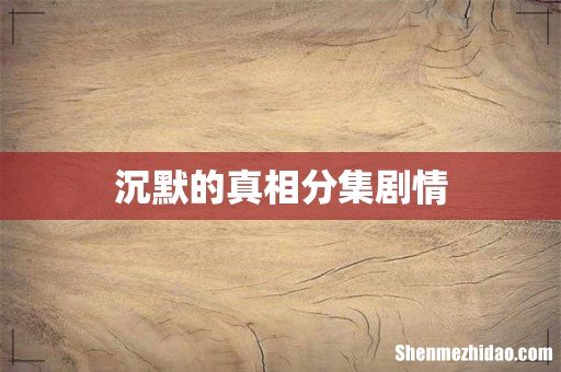沉默的真相分集剧情