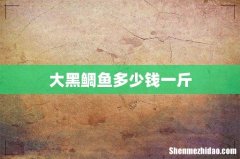 大黑鲷鱼多少钱一斤