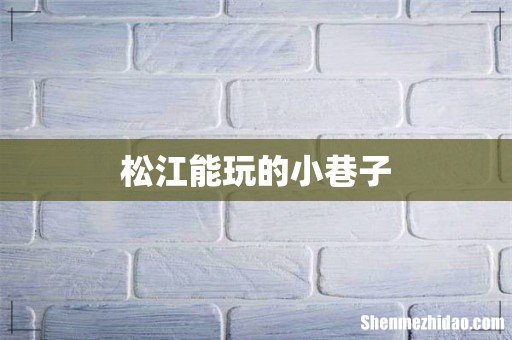 松江能玩的小巷子