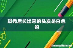 斑秃后长出来的头发是白色的