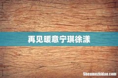 再见暖意宁琪徐漾