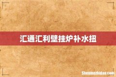 汇通汇利壁挂炉补水扭