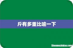 斤有多重比喻一下