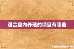 适合室内养殖的项目有哪些