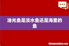 油光鱼是淡水鱼还是海里的鱼