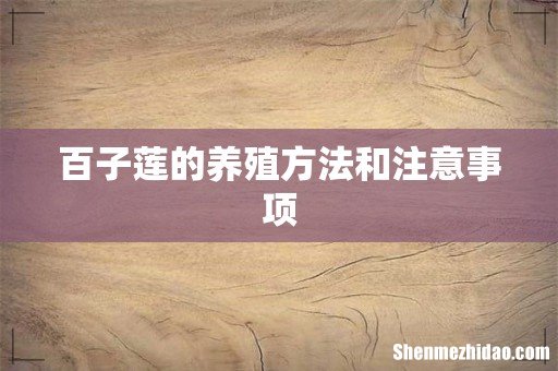 百子莲的养殖方法和注意事项