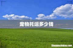 宠物托运多少钱
