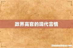 政界高官的现代言情