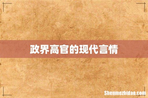 政界高官的现代言情