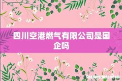 四川空港燃气有限公司是国企吗