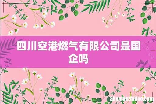 四川空港燃气有限公司是国企吗