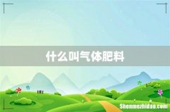 什么叫气体肥料