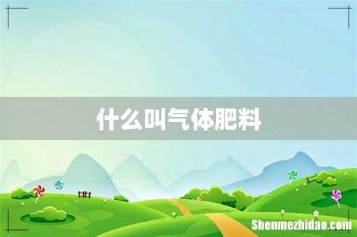 什么叫气体肥料