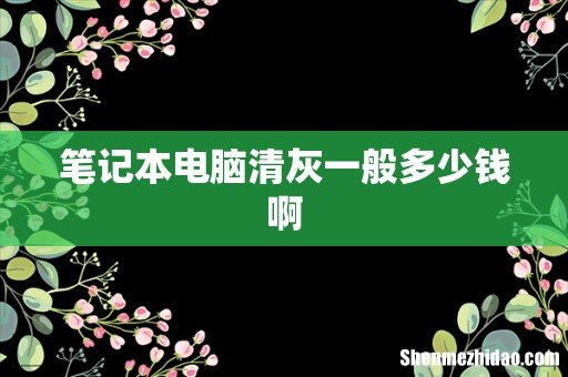 笔记本电脑清灰一般多少钱啊