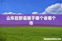山东巨野县属于哪个省哪个市
