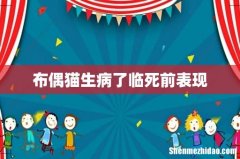 布偶猫生病了临死前表现