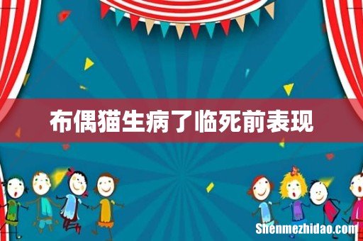 布偶猫生病了临死前表现
