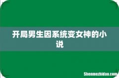 开局男生因系统变女神的小说