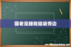 猫老是睡我脑袋旁边