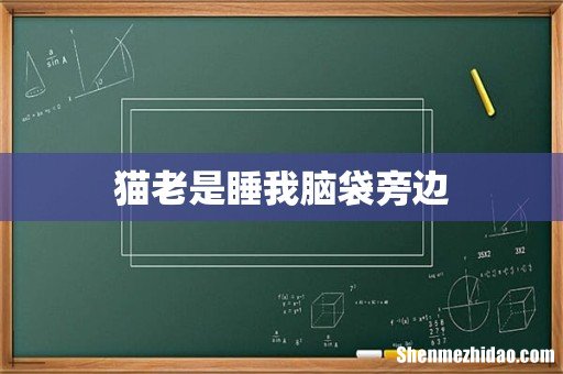 猫老是睡我脑袋旁边