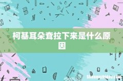 柯基耳朵耷拉下来是什么原因
