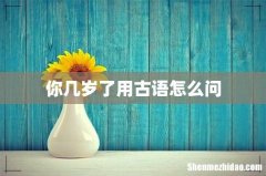 你几岁了用古语怎么问