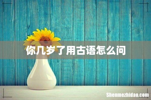 你几岁了用古语怎么问