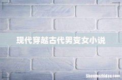 现代穿越古代男变女小说