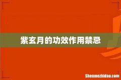 紫玄月的功效作用禁忌