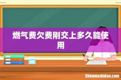 燃气费欠费刚交上多久能使用