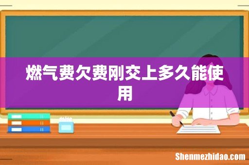 燃气费欠费刚交上多久能使用