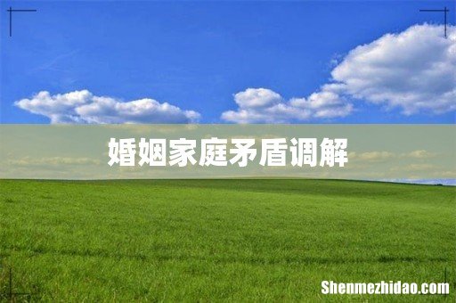 婚姻家庭矛盾调解
