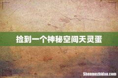 捡到一个神秘空间天灵蛋