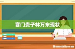 寒门贵子林万东现状