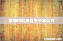猫咪眼睛里有虫子怎么办