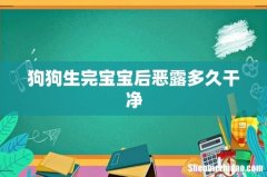 狗狗生完宝宝后恶露多久干净