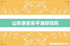 山东泰安东平湖好玩吗