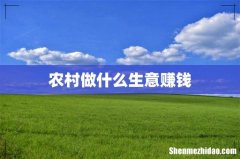 农村做什么生意赚钱